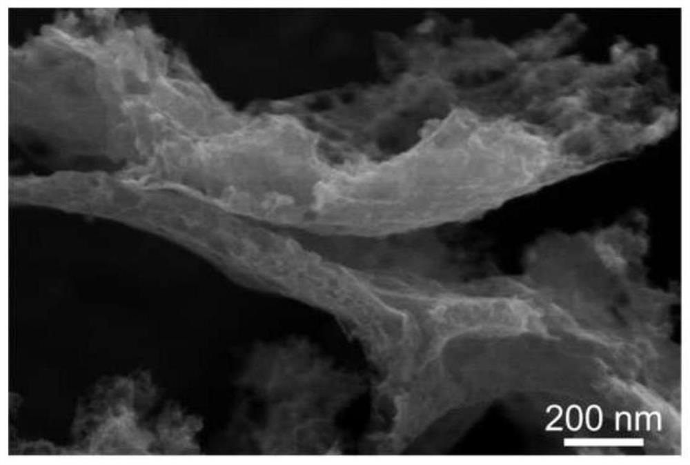 Preparation method of nitrogen and phosphorus co-doped foamed carbon nanosheet loaded NiCo nanoparticle composite material, product and application thereof