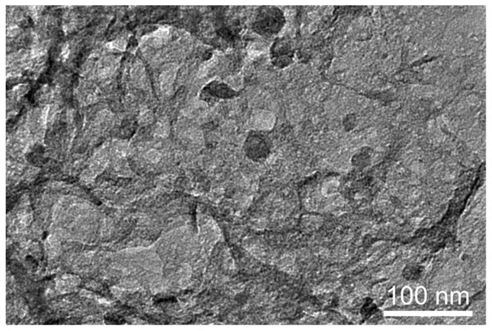 Preparation method of nitrogen and phosphorus co-doped foamed carbon nanosheet loaded NiCo nanoparticle composite material, product and application thereof