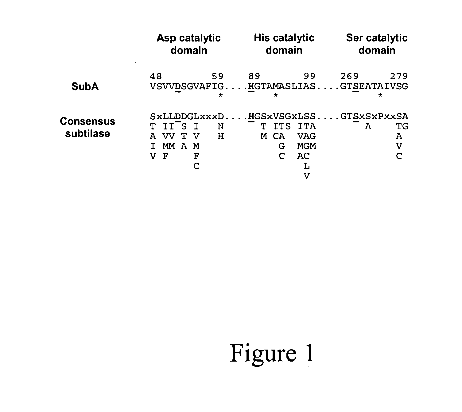 Cytotoxin with a subtilase domain