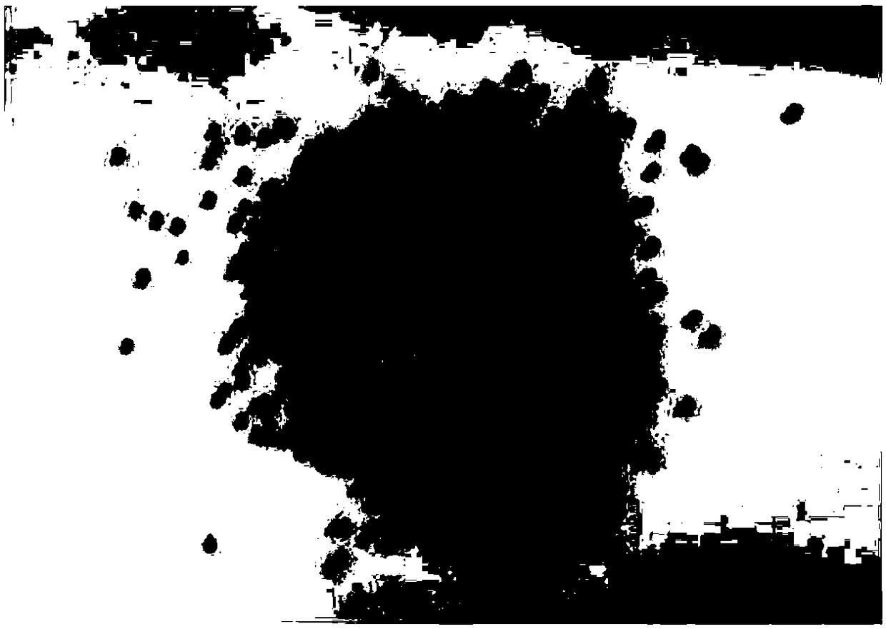 Eco-friendly filler for artificial grass and manufacturing method thereof