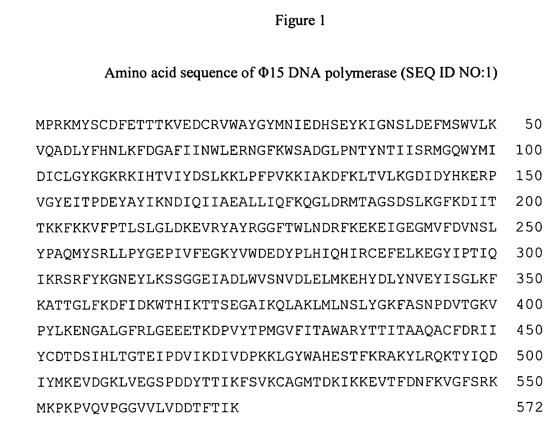 PHI 15 DNA polymerase