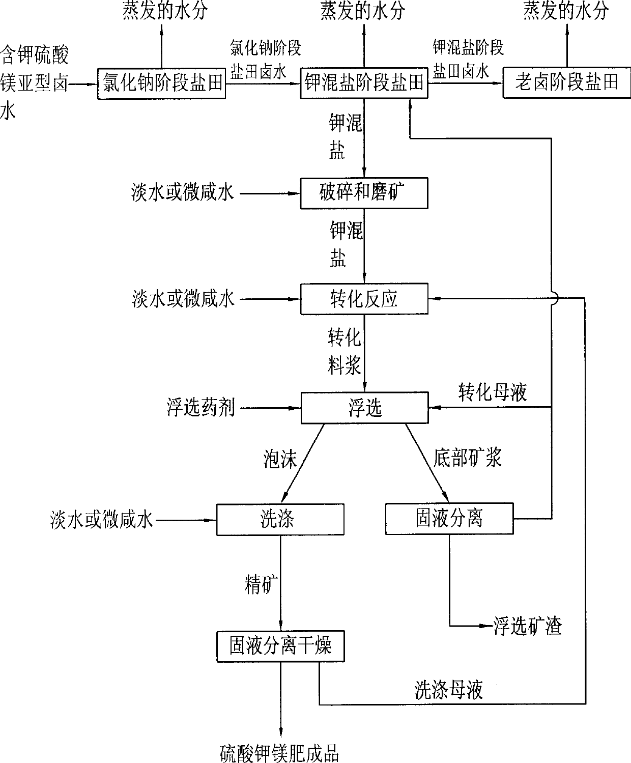 Improved process of preparing magnesium potassium sulfate fertilizer with bittern containing potassium and magnesium sulfite