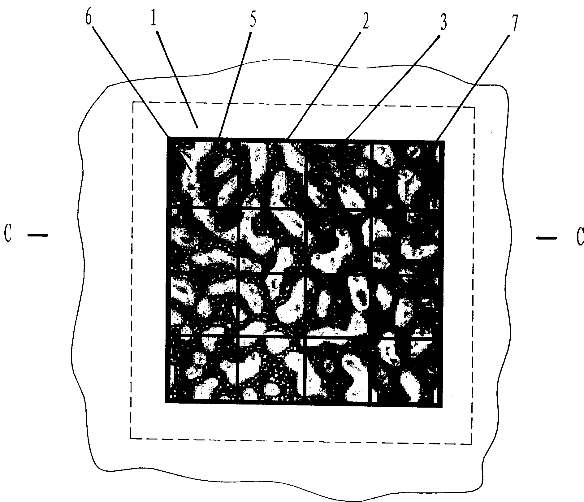 Anti-fake method by using visiable random structure characteristic