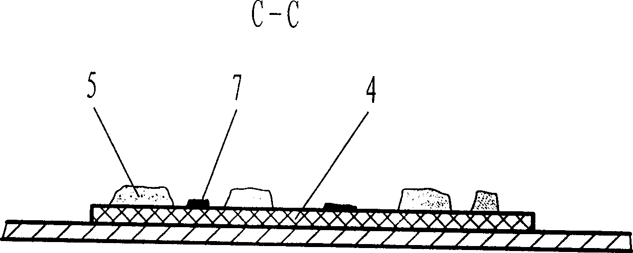 Anti-fake method by using visiable random structure characteristic