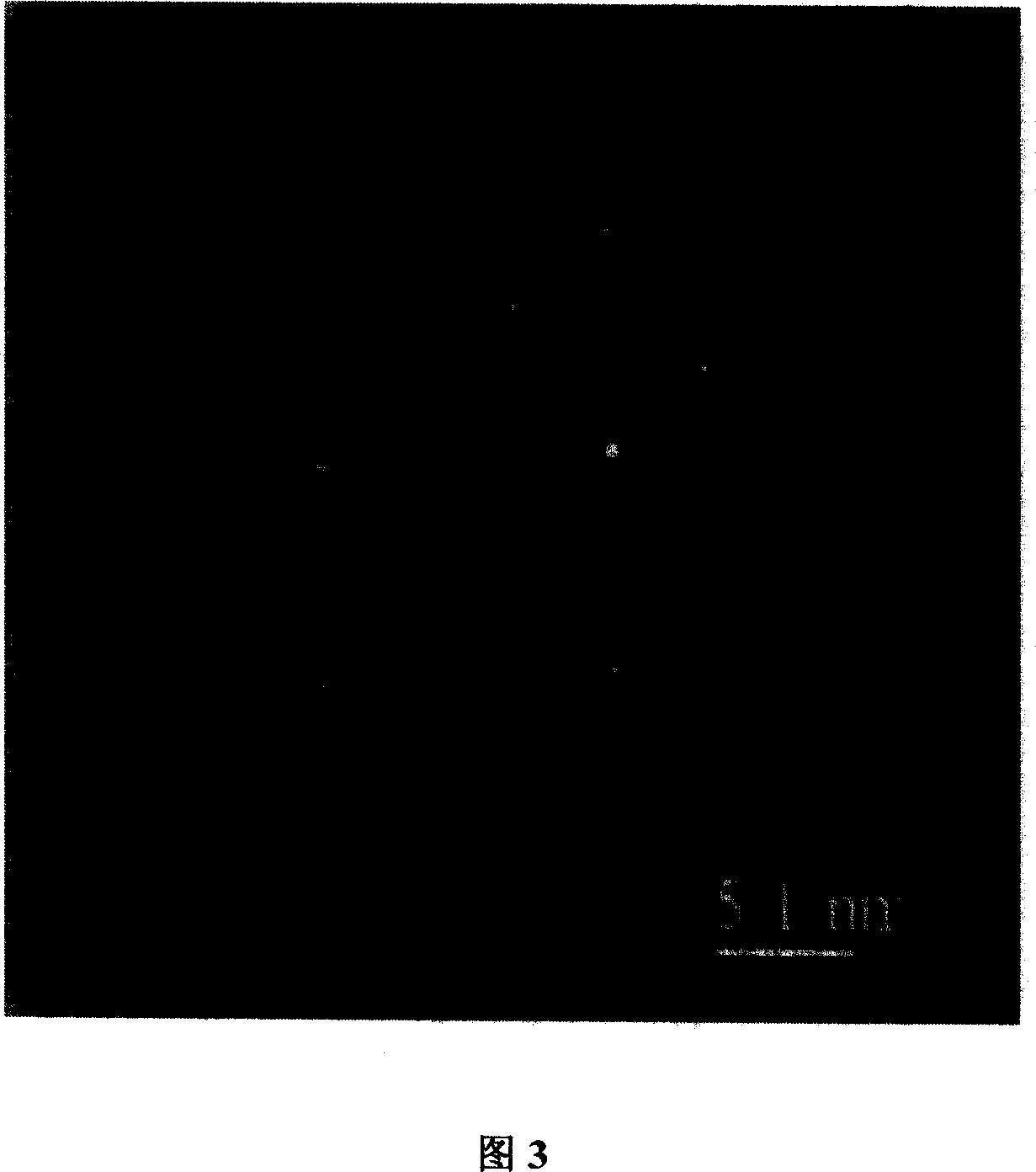 Composite of poly m-phenylenediamine and nano silver and original position reduction preparing method thereof