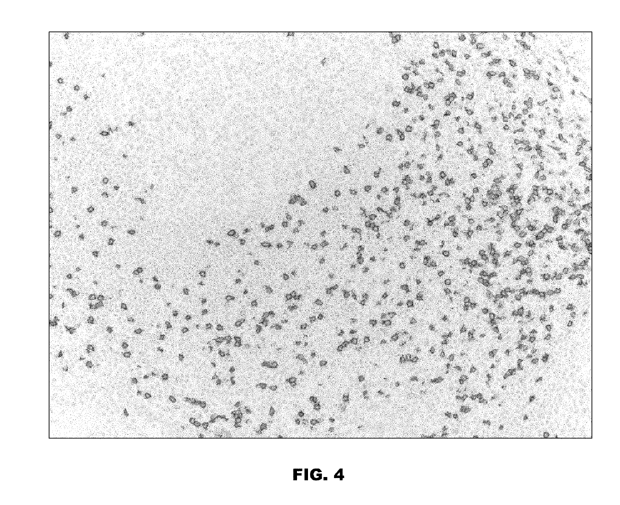 Colors for chromogenic ihc and ish staining with multi-dye quinone methide and tyramide conjugates