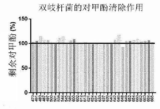 Lactobacillus acidophilus KBL409 strain and application thereof