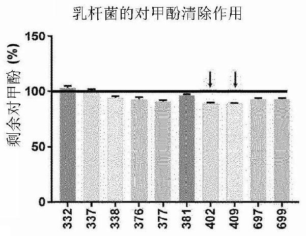 Lactobacillus acidophilus KBL409 strain and application thereof