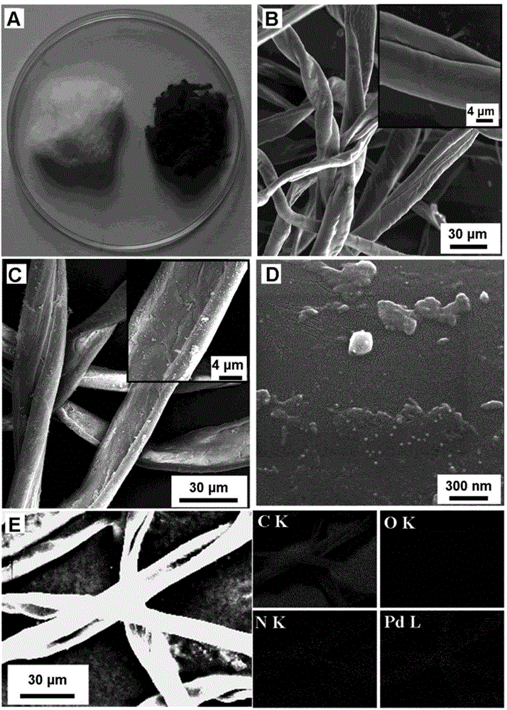 Preparation method and application of fibrous catalyst