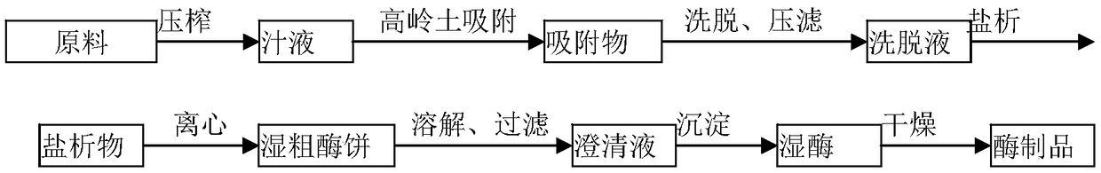 Plant proteinase extraction method and obtained plant proteinase