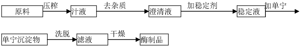 Plant proteinase extraction method and obtained plant proteinase