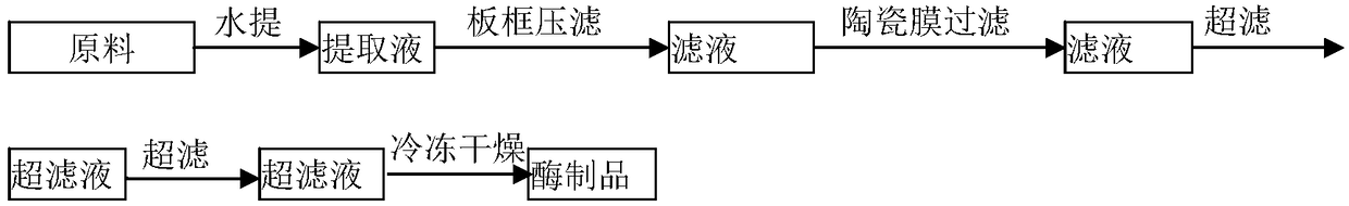 Plant proteinase extraction method and obtained plant proteinase