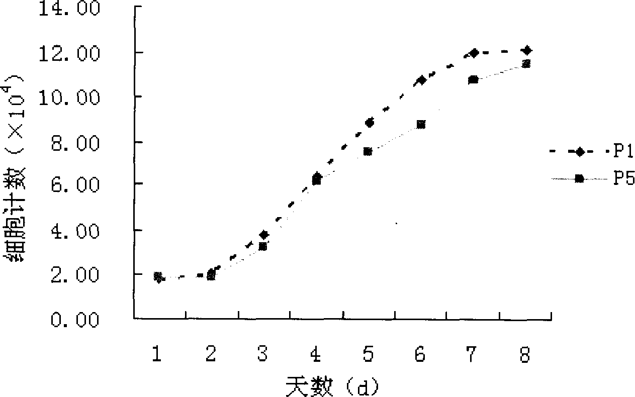 Method for sorting human marrow mesenchymal stem cell by monoclonal antibody ZUE12 immunomagnetic bead