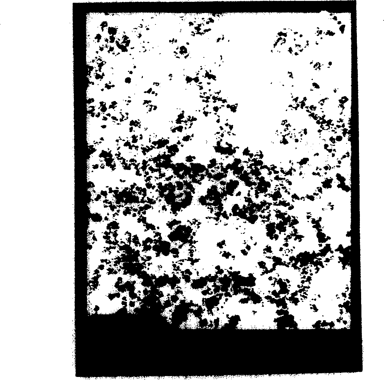 Grafted nano carbon mixed suspension and its preparing process