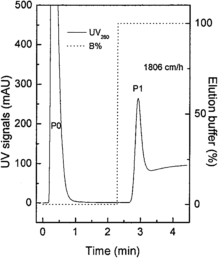 Method for quickly preparing recombinant heat-resistant manganese superoxide dismutase