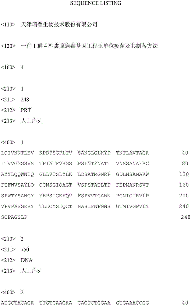 I-group 4-type aviadenovirus genetic engineering subunit vaccine and preparation method thereof