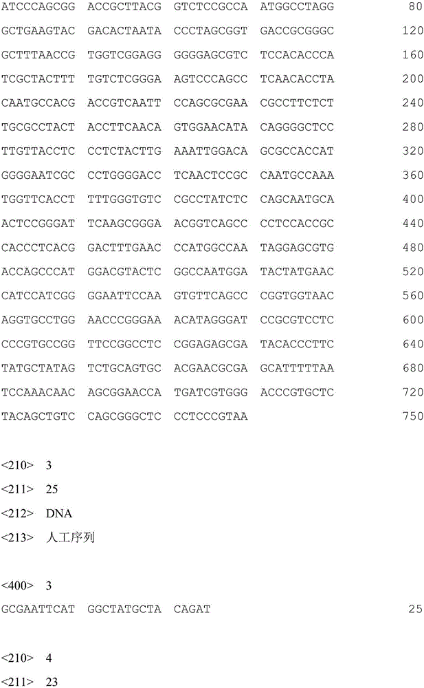 I-group 4-type aviadenovirus genetic engineering subunit vaccine and preparation method thereof