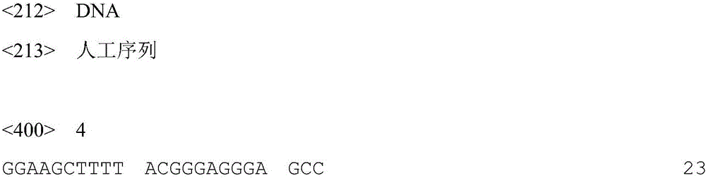 I-group 4-type aviadenovirus genetic engineering subunit vaccine and preparation method thereof