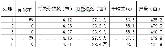 Wheat tillering fertilizer as well as preparation method and application thereof