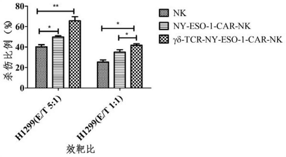 Dual-signal chimeric antigen receptor as well as preparation method and application thereof