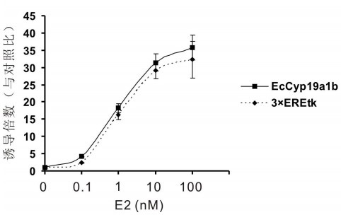 Method for detecting estrogen in environment