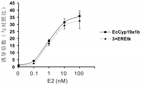 Method for detecting estrogen in environment