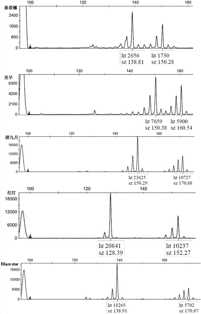 Method for identifying cherry variety