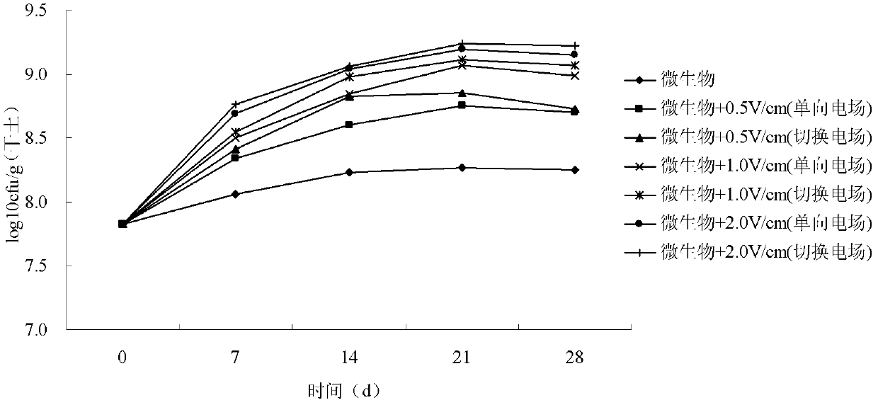 Petroleum hydrocarbon degradation bacteria being suitable for electric field condition and application thereof