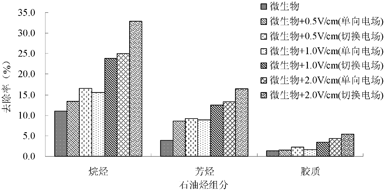 Petroleum hydrocarbon degradation bacteria being suitable for electric field condition and application thereof