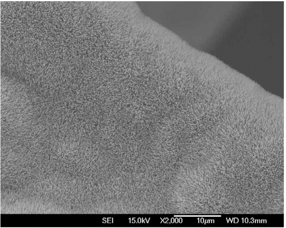 Preparation method of zinc oxide nanowire array/ foamy graphene composite material and application thereof