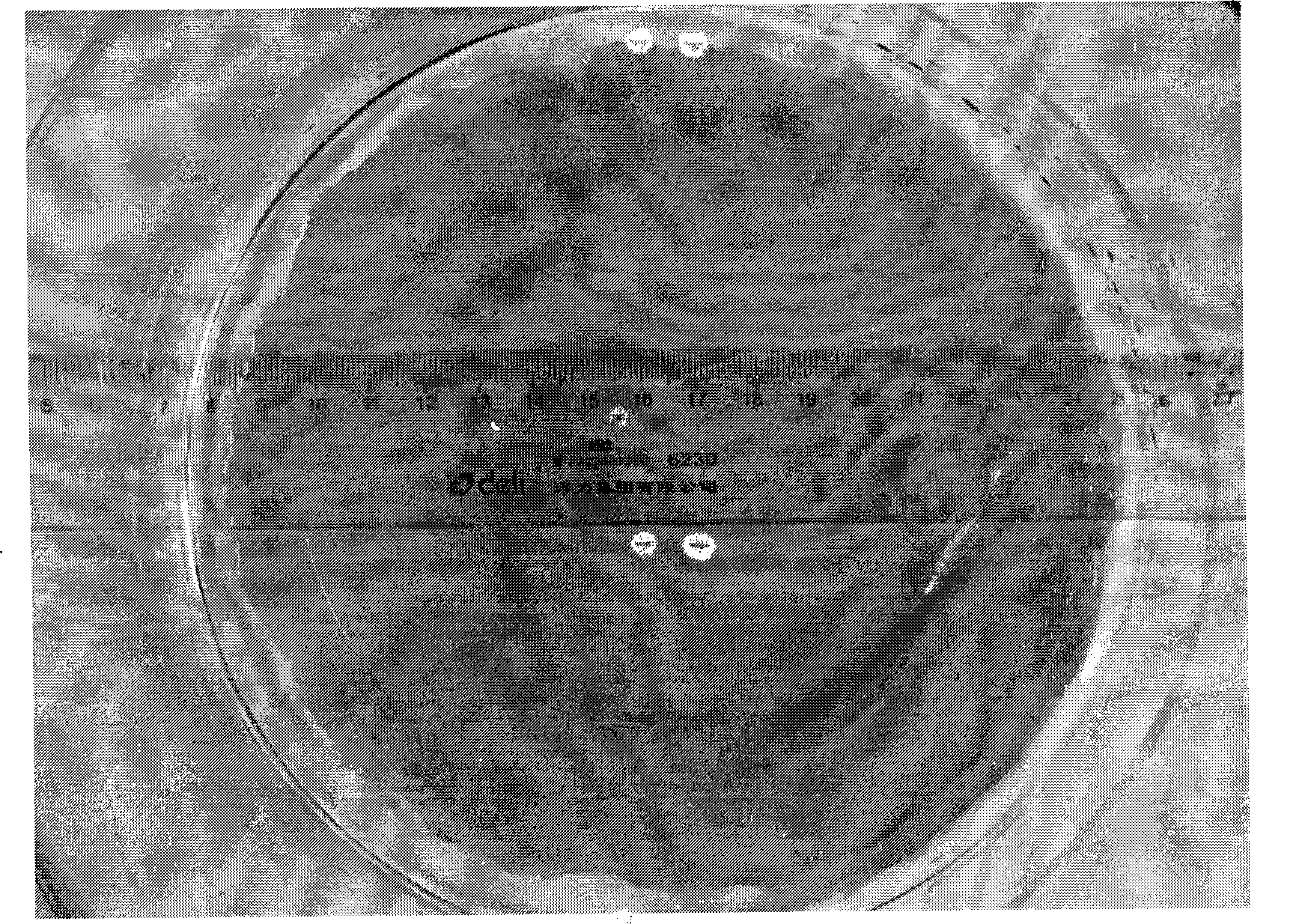 Preparation method of large-area nano-microparticles monolayer film