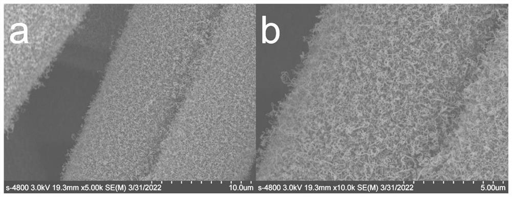 Carbon fiber felt and carbon nanotube/epoxy resin composite material and preparation method thereof