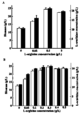 Construction and application method for L-ornithine synthesis bacteria