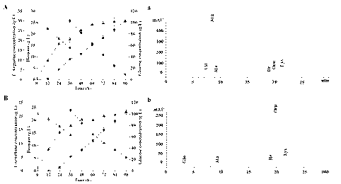 Construction and application method for L-ornithine synthesis bacteria