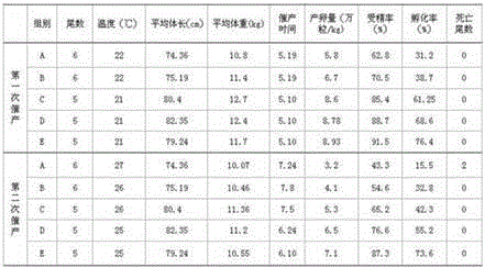 Fermented traditional Chinese medicine microbial preparation for parent grass carp and preparation method of microbial preparation