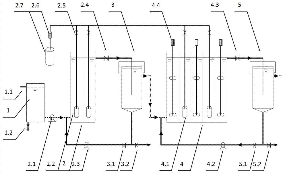 Continuous flow urban sewage partial nitrification and anaerobic ammonia oxidation denitrification method