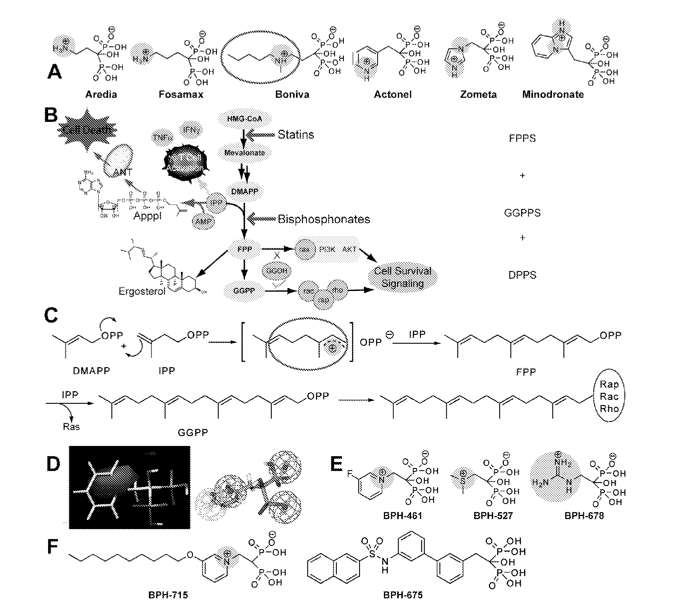 Bisphosphonate Compounds and Methods with Enhanced Potency for Multiple Targets including FPPS, GGPPS, AND DPPS