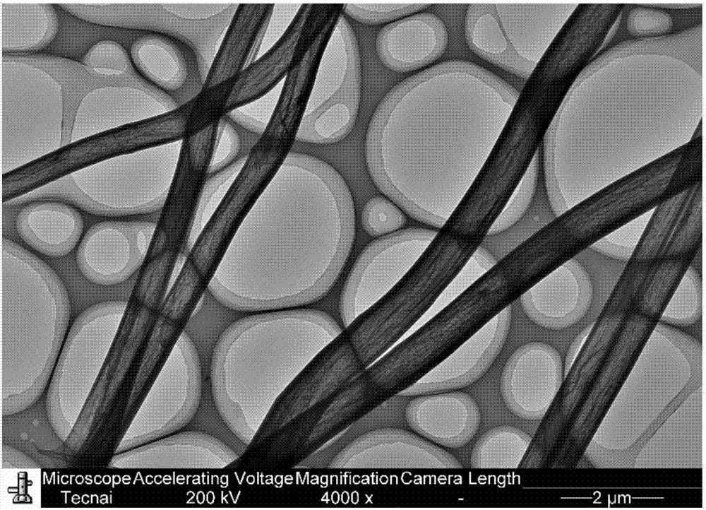 Carbon nano rod composite material and preparation method and application thereof