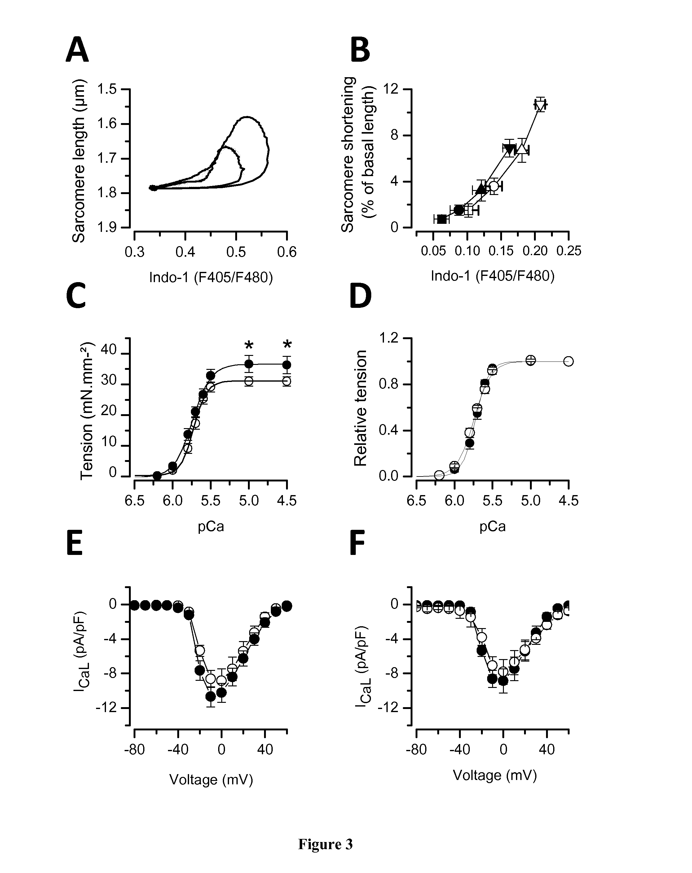 Methods and pharmaceutical compositions for the cardioprotection