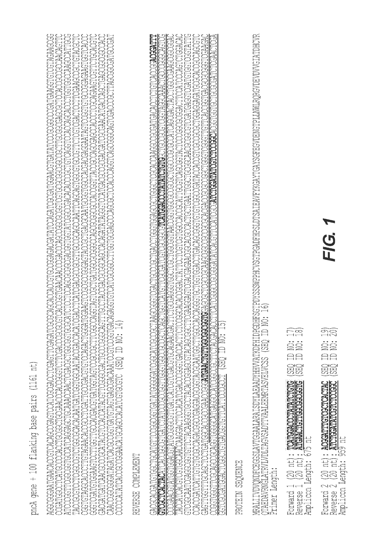 Next Generation Genomic Sequencing Methods