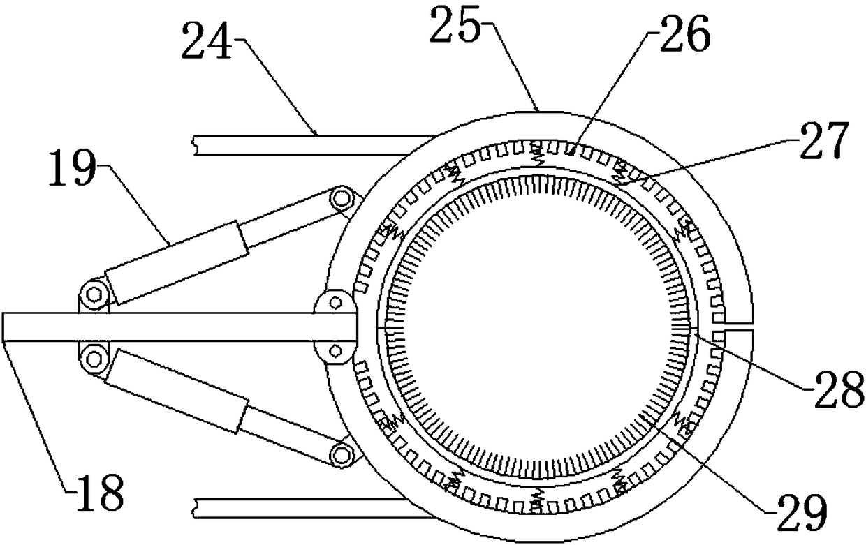 Chain and sprocket wheel trunk whitewashing device