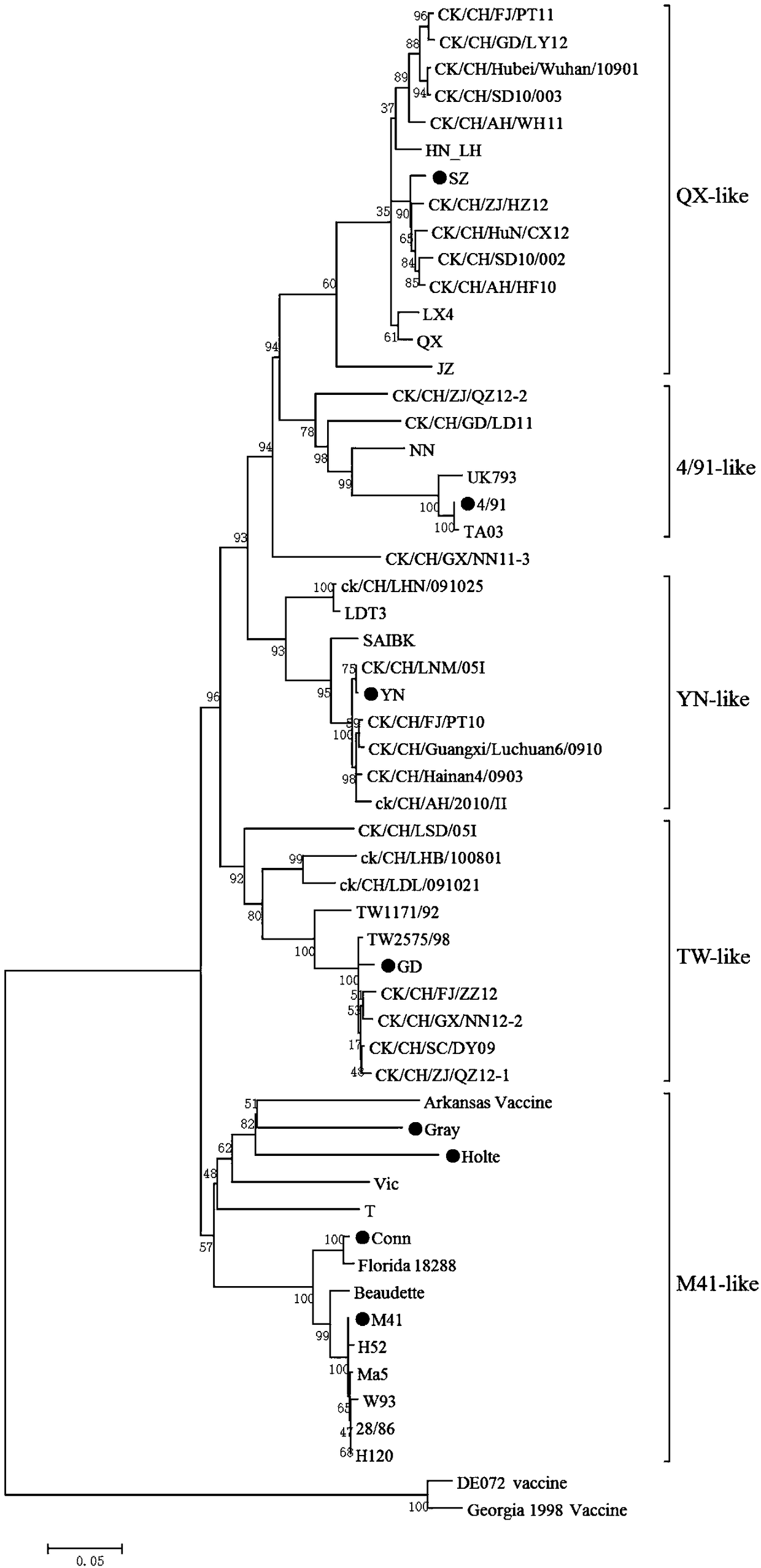 QX-type infectious bronchitis virus (IBV) hemagglutination inhibition test antigens, preparation method thereof and application