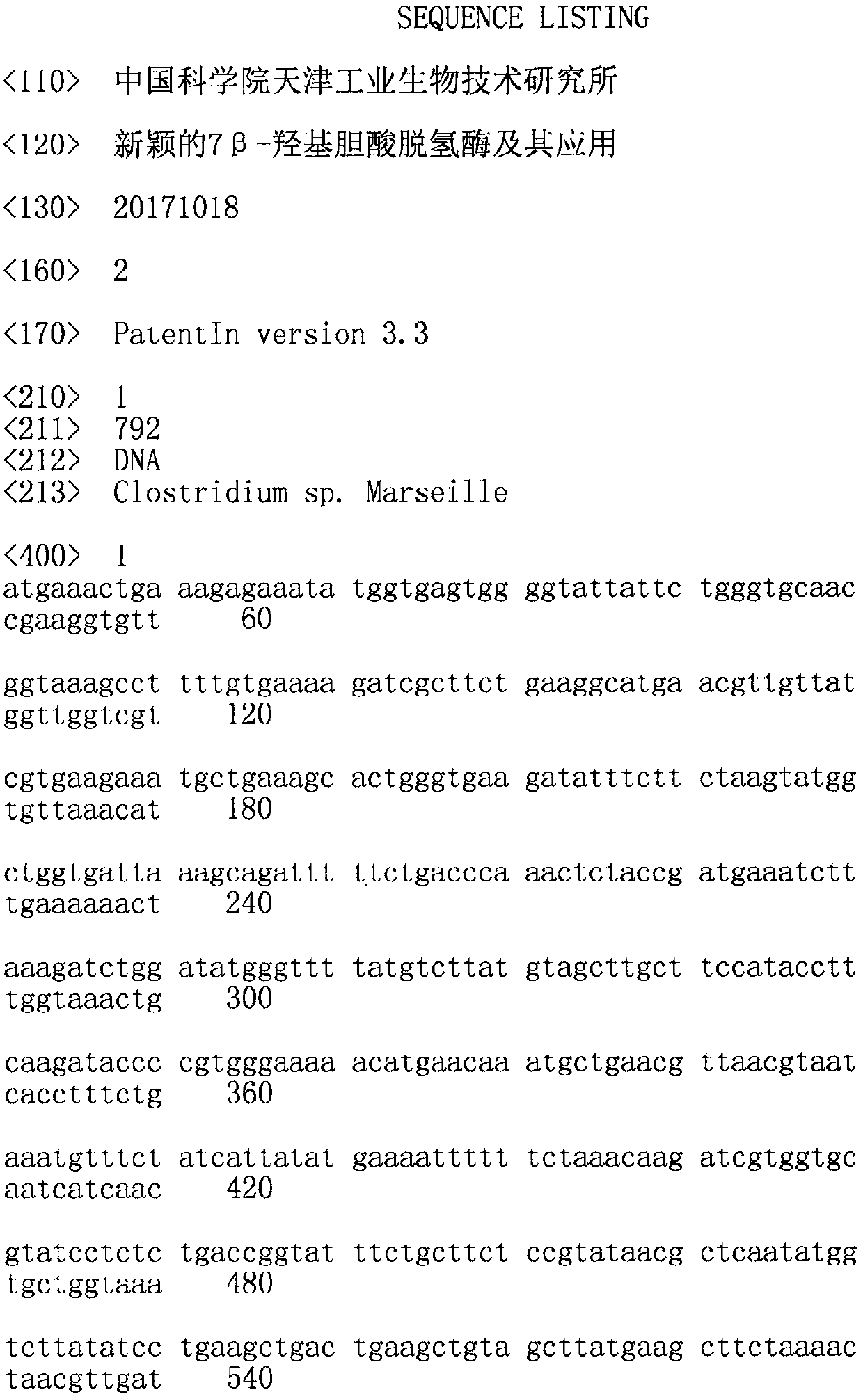 7 beta-hydroxycholic acid dehydrogenase and application thereof