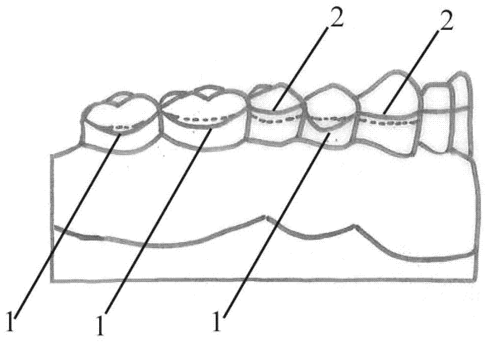 Base-free wrought wire orthodontic retainer