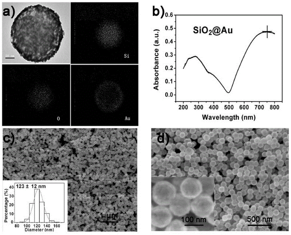 A Surface-Enhanced Raman Spectroscopy Method for the Quantitative Detection of Polychlorinated Biphenyls