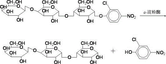 Screening method for alpha-amylase inhibitor producing bacteria