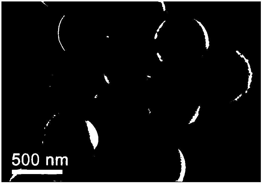 Method for Bionic Construction of Functionalized Janus Particles