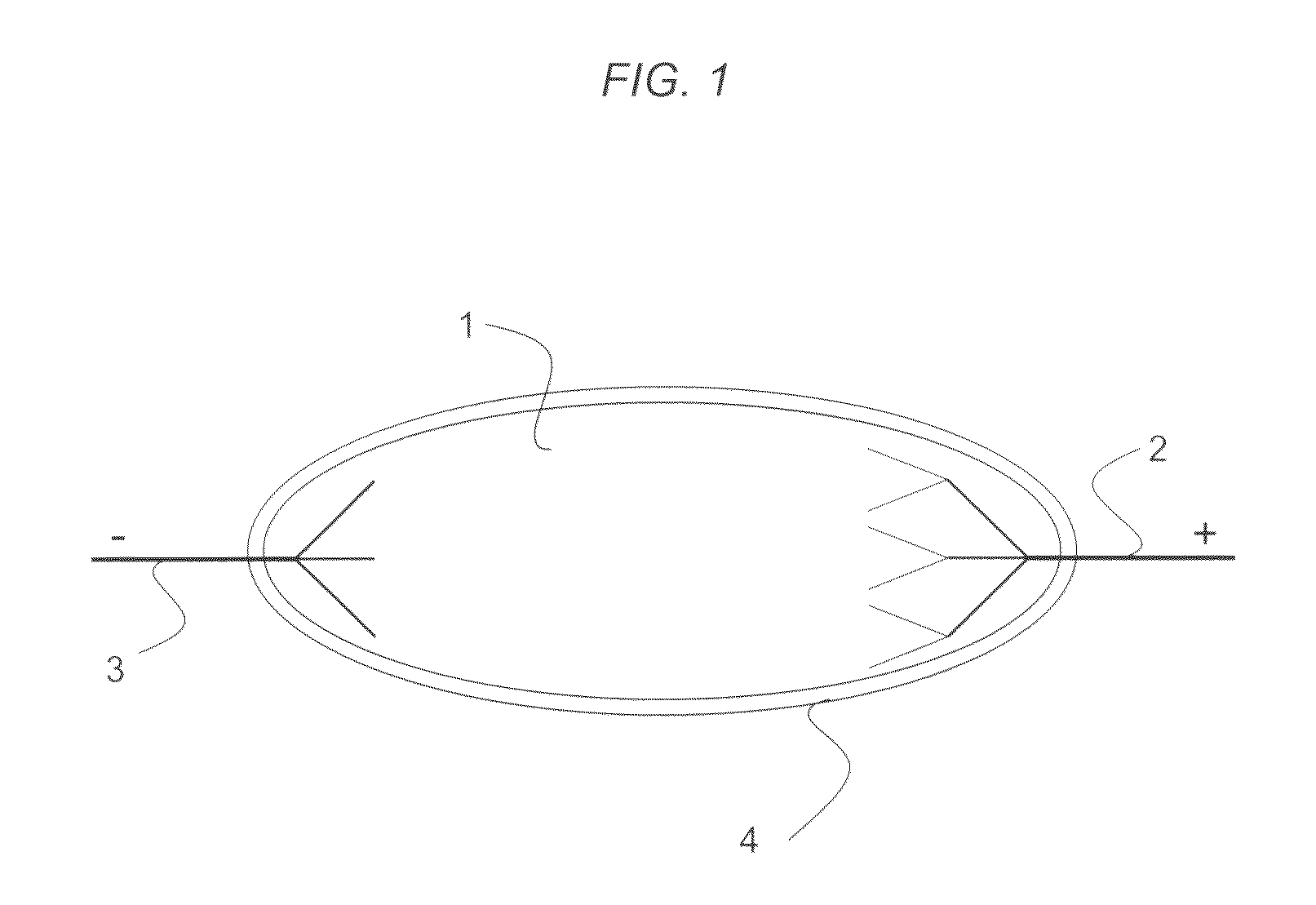 Electroactive materials and electroactive actuators that act as artificial muscle, tendon, and skin