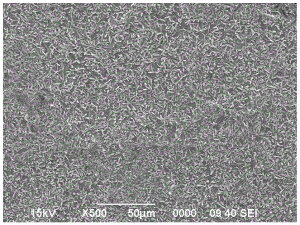 Control method for increasing painting performance and surface quality of cold rolling automobile sheet