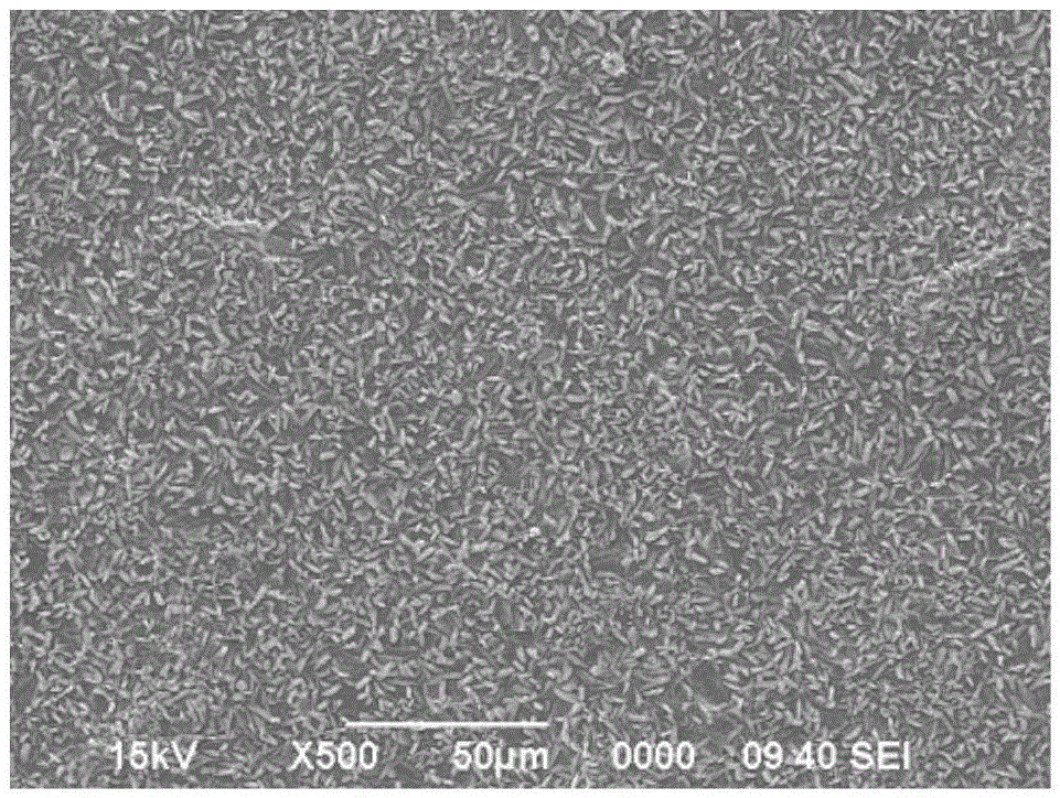 Control method for increasing painting performance and surface quality of cold rolling automobile sheet